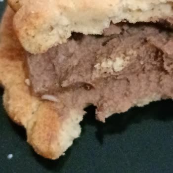 Ülker Probis De Kurt Çıktı.