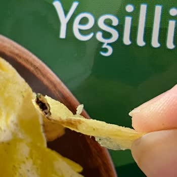 Lays Yoğurtlu Cipsinden İçinden Böcek Çıktı
