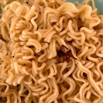İndomie Noodle İçinden Böcek Çıktığı