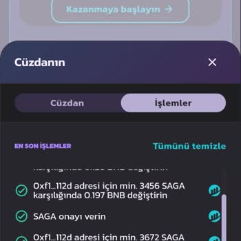 Binance Fake Coin Sold via Web3 Wallet (Saga)