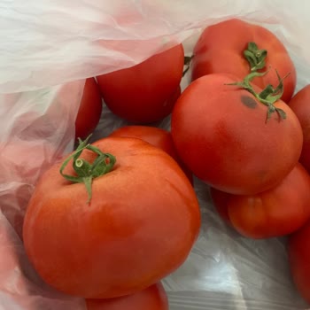 Çağrı Market İnternet Alışverişi Özensizliği