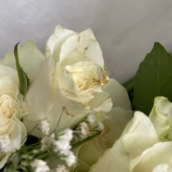 Çiçek Sepeti Sararmış, Solmuş, Eksik Sayıda Güller Yolluyor Fiyasko