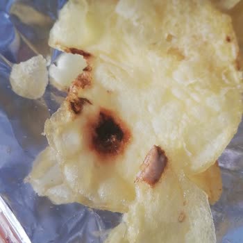 Lays Cips Yabancı Cisim