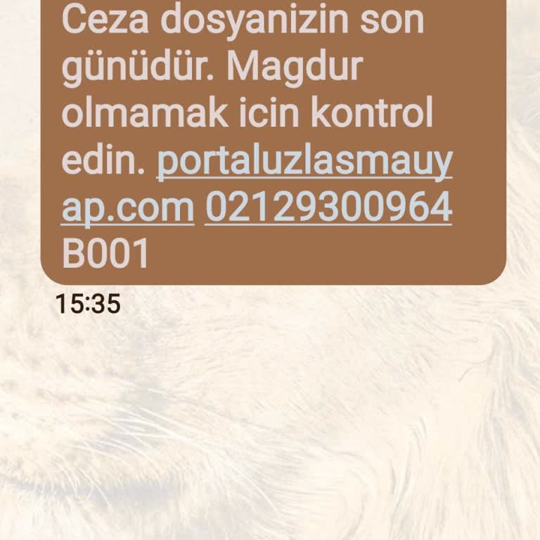 ERESTA (SMS) Erasta Mesajı Aldım Hiçbir Ceza Dosyası Yok