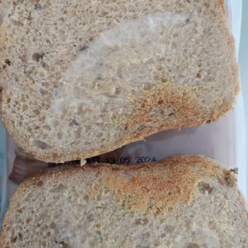 A101 Marketten Alınan Ekmekte Kalite Sorunları