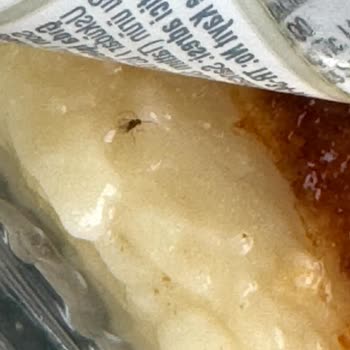 A101 Hanımdan Kazandibinden Sinek Çıktı