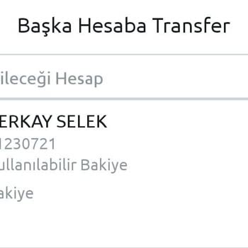 N Kolay Hesabıma Para Transferini 21 Gündür Yapmadı