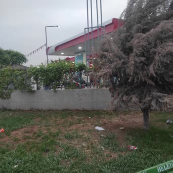 Seyhan Belediyesi Çocuk Parkı Temizlik Sorunu