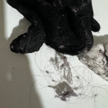 Bosch Series 8 Dryer Malfunction and Poor Customer Service