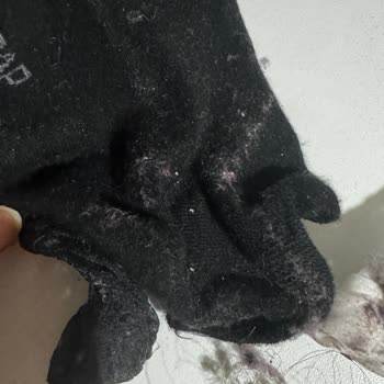 Bosch Series 8 Dryer Malfunction and Poor Customer Service