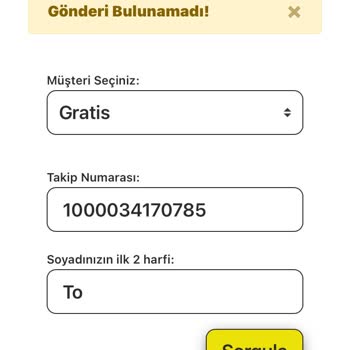 AGT Kurye (aynigunteslim.com) Gratis Siparişim Kayboldu: Kargo Takip Sorunu