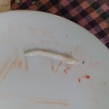 Dost Süt Yoğurdun İçinden Mum Çıktı