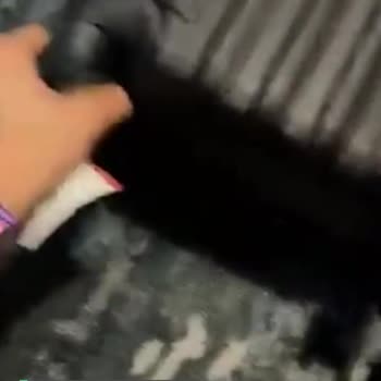 THY Bagajda Valizimiz Kırılmış!