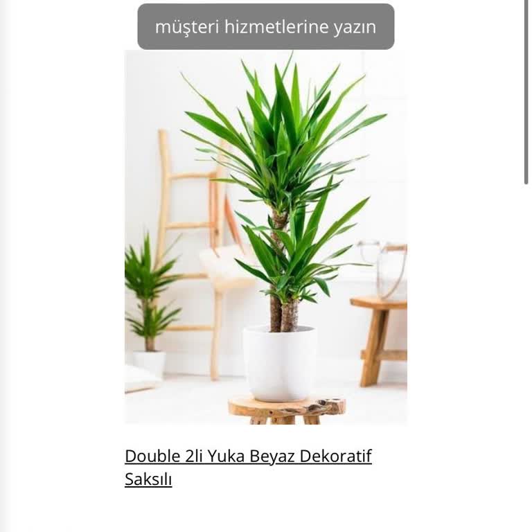 Salonbitkileri.com 1 Ay Oldu Siparişim Teslim Edilmedi