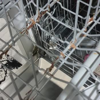 Arçelik Bulaşık Makinesi Sepetlerinde Paslanma Sorunu