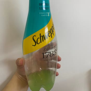 Schweppes Den Tortu Çıkması