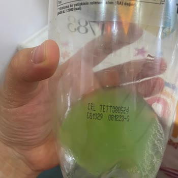 Schweppes Den Tortu Çıkması