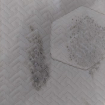 Yataş Cool Wool Küflenme Problemi Ve Yataş'ın Arkasında Durmaması