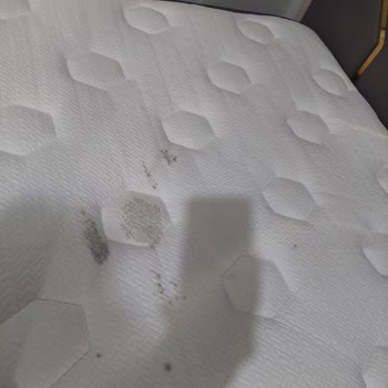 Yataş Cool Wool Küflenme Problemi Ve Yataş'ın Arkasında Durmaması