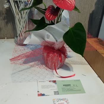 Çiçek Sepeti Hiç Yakışmadı!