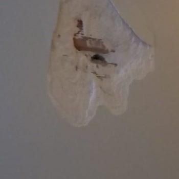 Şenaylar Mobilya Kesintisiz Para İadesi Talebi