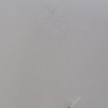 Şenaylar Mobilya Kesintisiz Para İadesi Talebi