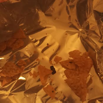Doritos Paketten Çıkan Nedir?