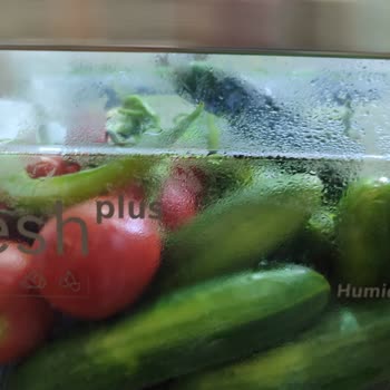 Bosch Buzdolabı Ürün Çürütme Sorunu