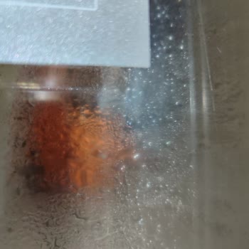 Bosch Buzdolabı Ürün Çürütme Sorunu