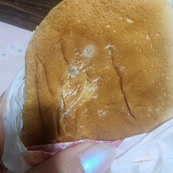 Burger King Siparişim Küflü Ekmek İle Geldi