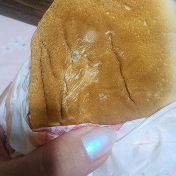 Burger King Siparişim Küflü Ekmek İle Geldi