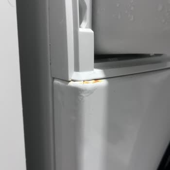 Bosch Boya Kabarması Ve Paslanma