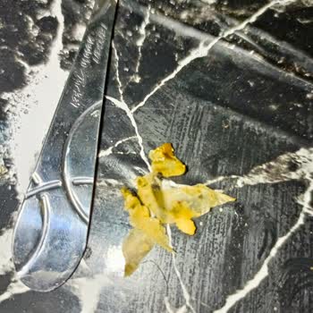 Burcu Gıda Yaprak Sarmasının İçinden Kağıt Çıktı!