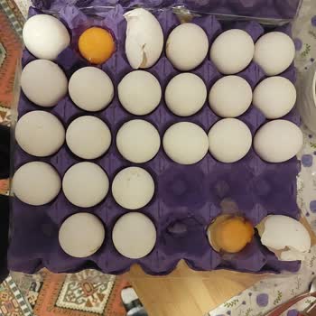 Cepte Şok Online Hasarlı Ve Eksik Teslimatlar