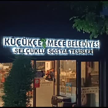 Küçükçekmece Belediyesi Yemek Salonunda Kediler Cirit Atıyor