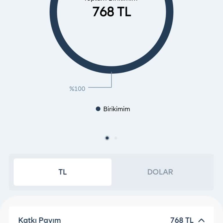 Allianz Yaşam ve Emeklilik BES Katkı Payı