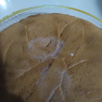 Harras Küflü Pasta Keki