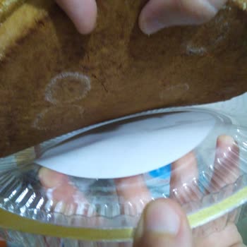 Harras Küflü Pasta Keki