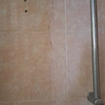 DASK (Doğal Afet Sigortaları Kurumu) Deprem Hasarı Göz Ardı Edildi: Eksper Gönderilmedi