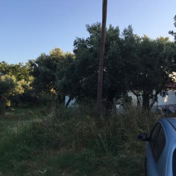 Türk Telekom Var Olan Altyapı Sorunu