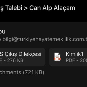 Türkiye Hayat Emeklilik BES Çıkış Çaresizliği