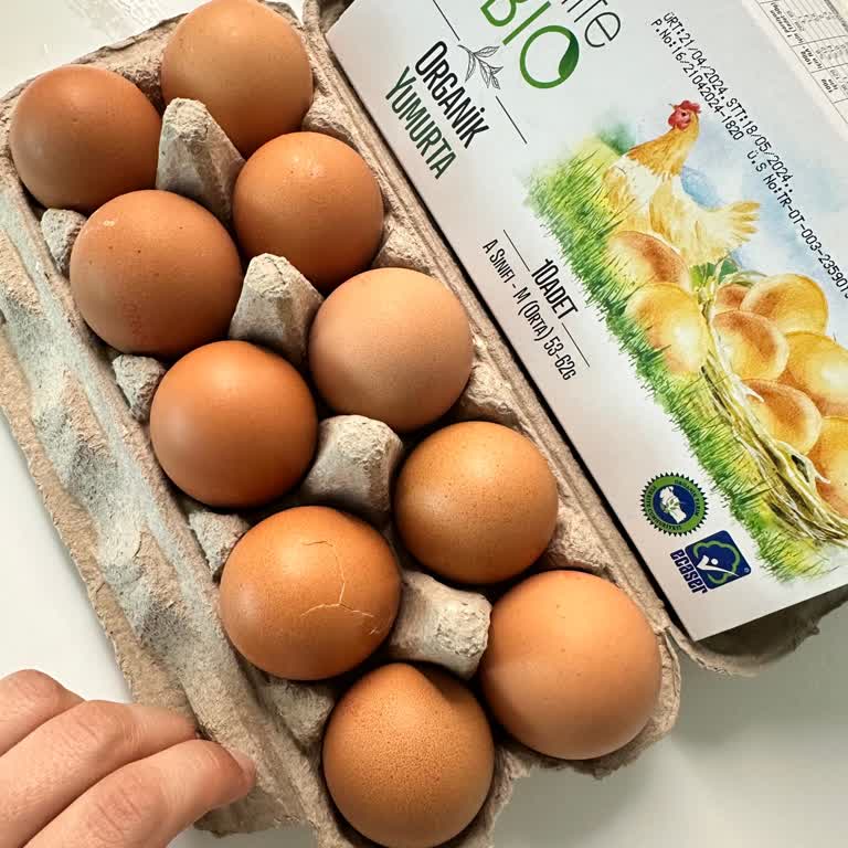 "Migros Hemen" Kırık Yumurta Değişim İçin 1 Gündür Bekliyorum