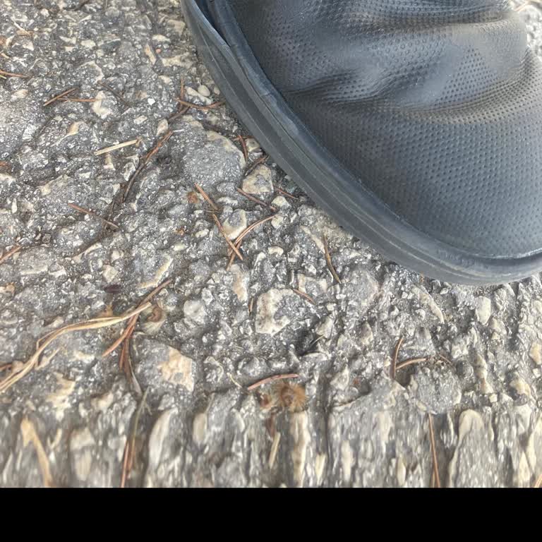 Skechers Ürün Ve Müşteri Hizmetleri Pişmanlığı