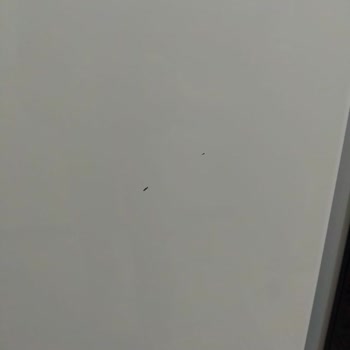 Vestel NF64012 E Gi Pro Wi-Fi İnverter + Model Buzdolabı