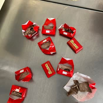 Ülker Napoliten Küflenme Sorunu