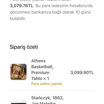Hoghheim Paranızla Rezil Olmak
