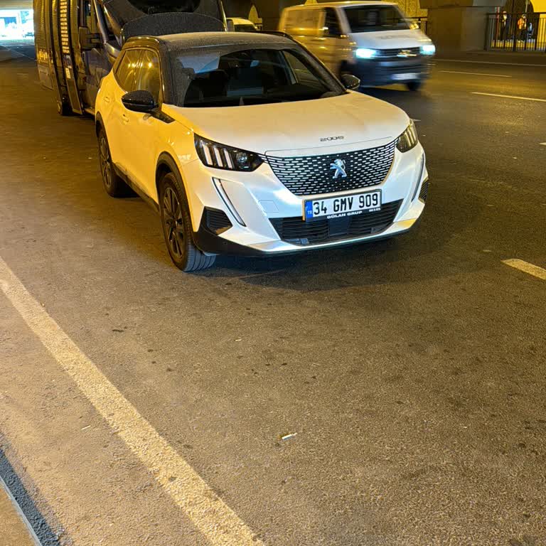 Peugeot Yol Yardım Başarısızlığı