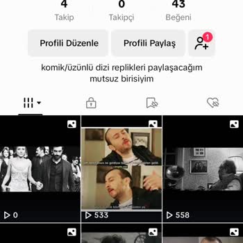 TikTok 0 Görüntülenme Hatası