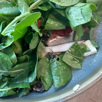 Turkuvaz Medya Turkuvaz Nevi Lokma Restaurant