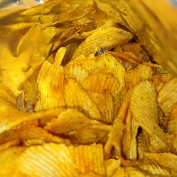 BİM Aldığım Patito Marka Cipsten Böcek Çıktı